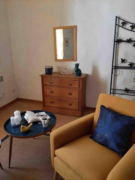 Saint-Thibéry Historic French Townhouseヴィラ エクステリア 写真