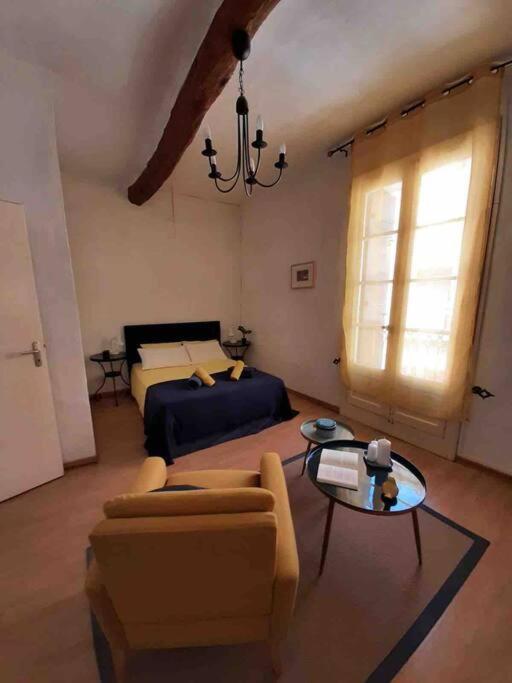 Saint-Thibéry Historic French Townhouseヴィラ エクステリア 写真
