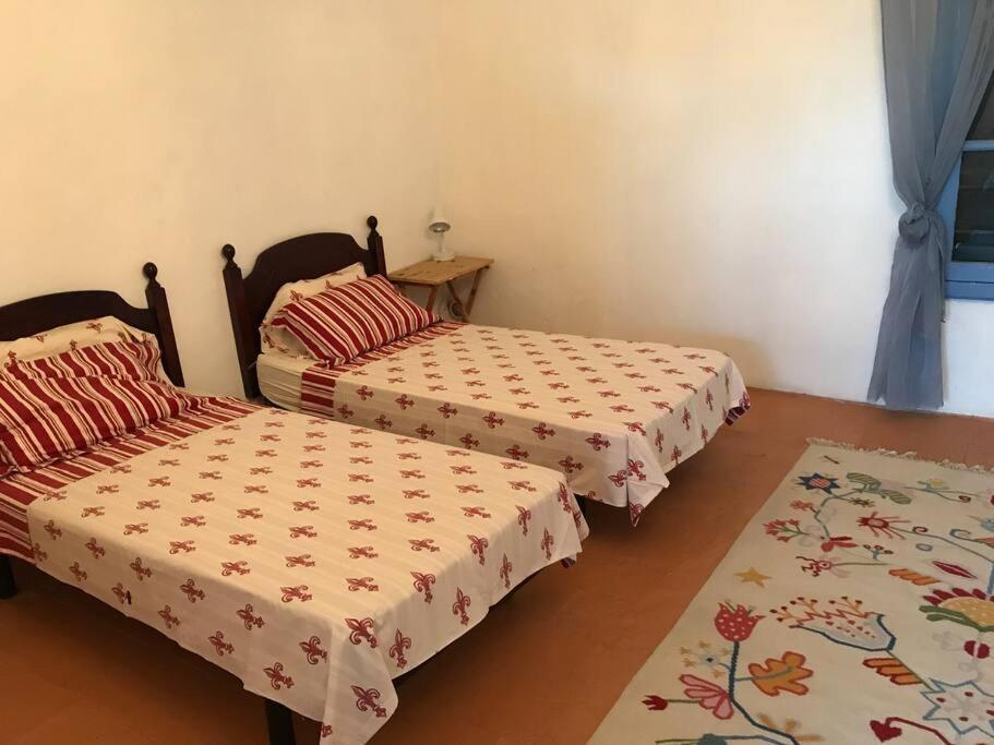 Saint-Thibéry Historic French Townhouseヴィラ エクステリア 写真