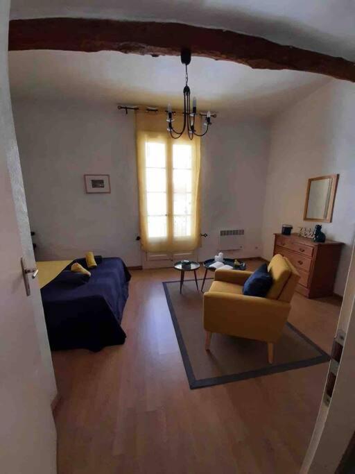 Saint-Thibéry Historic French Townhouseヴィラ エクステリア 写真