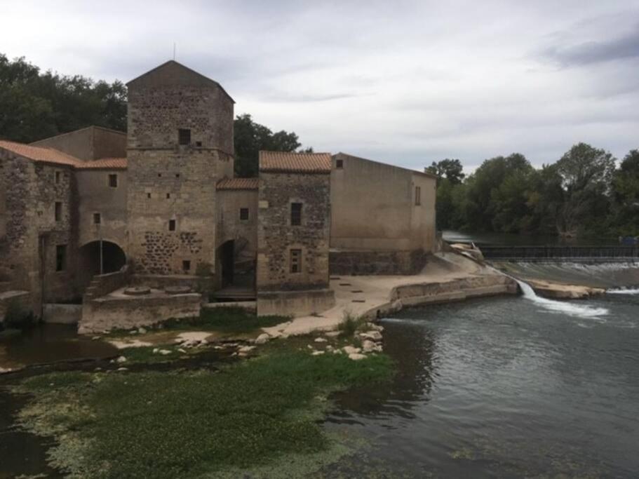 Saint-Thibéry Historic French Townhouseヴィラ エクステリア 写真